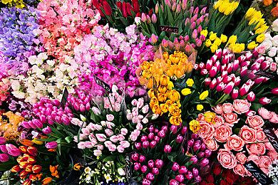 《生化危机2》原版游戏将于8月27日登陆GOG